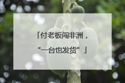 付老板闯非洲，“一台也发货”